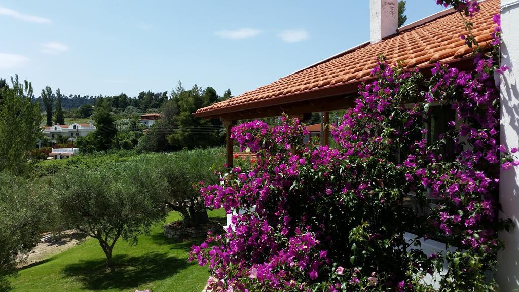 Ferienwohnung Amparoudes Kriopigi Exterior foto